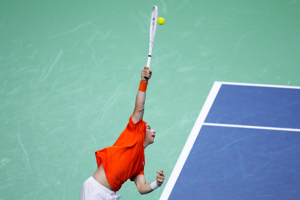 真正的进化 真正的进化